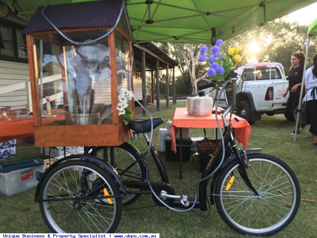 Mobile Food Van 